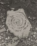 Image credit: Dionne Lee. Rock Drawing III (detail), 8x10” gelatin silver print, 2024.