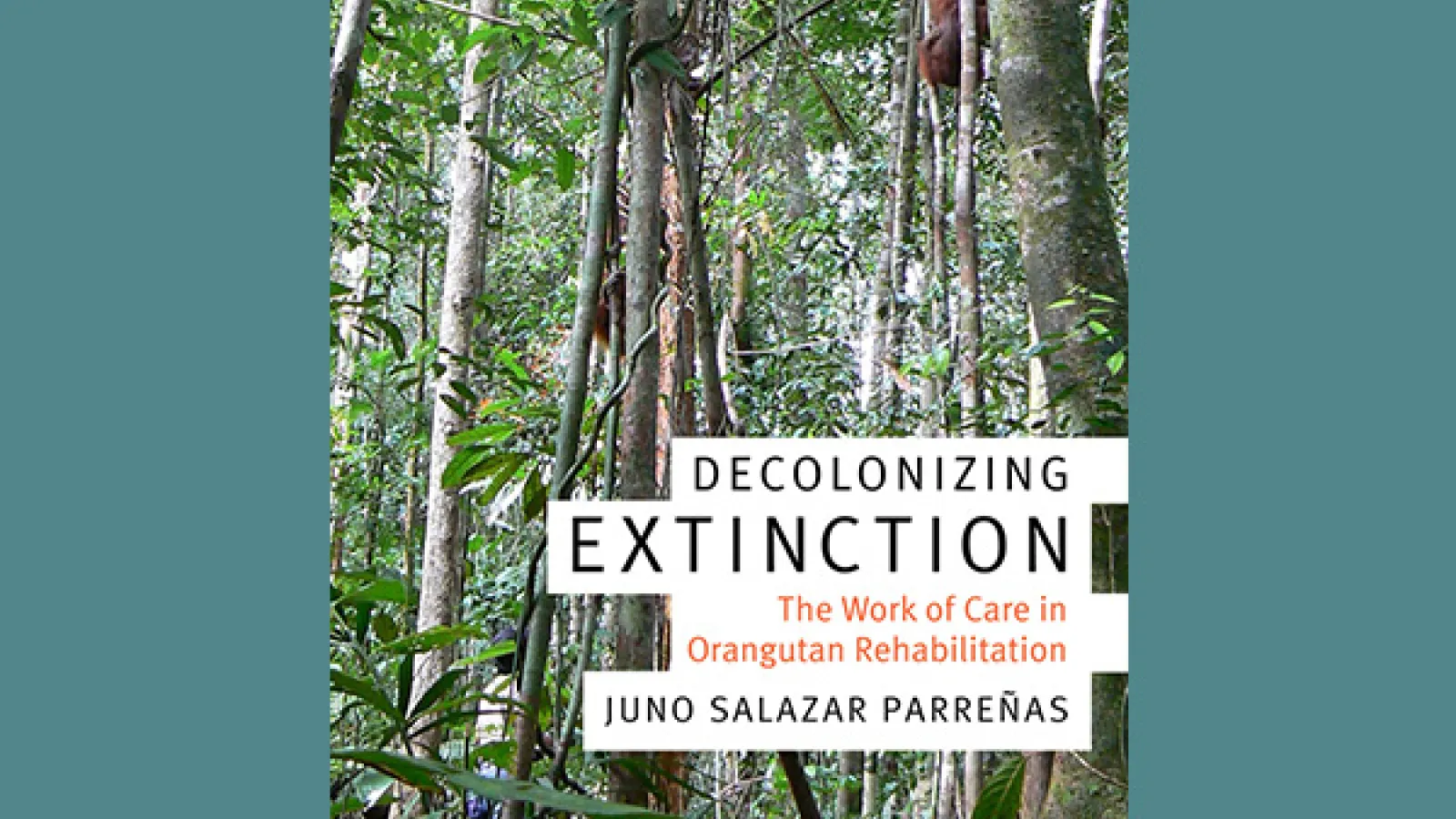Cover of Decolonizing Extinction book (forest with orangutan in a tree)