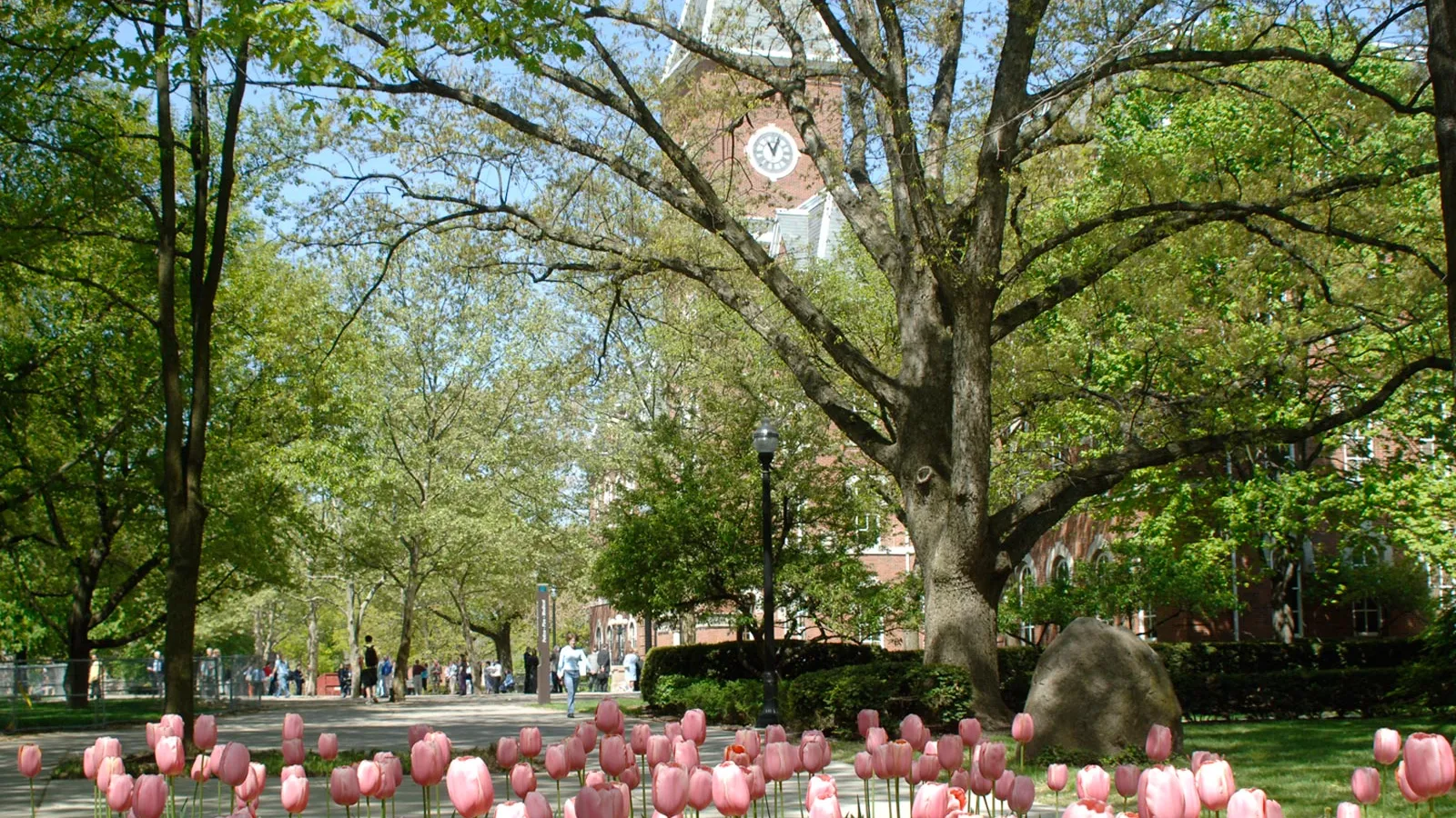 Ohio State University Hall 