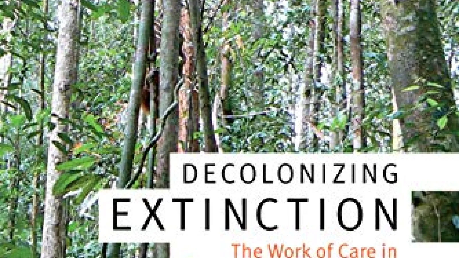 Decolonizing Extinction by Dr. Juno Parreñas book cover