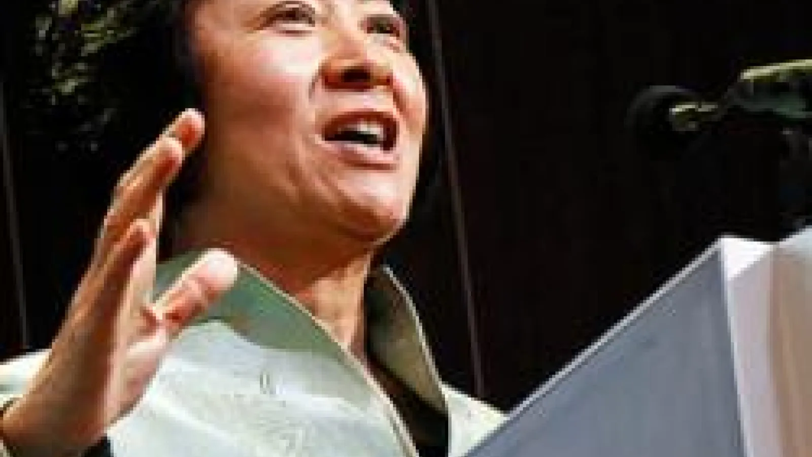 Dr. Wang Zheng of the University of Michigan