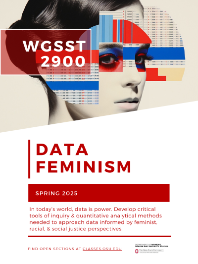 WGSST 2900 - Data Feminisms Course Flyer