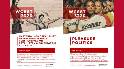 WGSST 3320: Special Topics Course Flyers