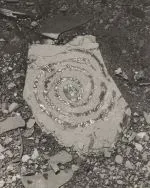 Image credit: Dionne Lee. Rock Drawing III (detail), 8x10” gelatin silver print, 2024.