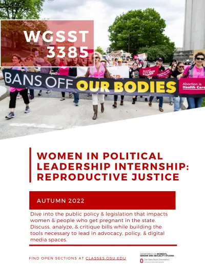 3385 Flyer