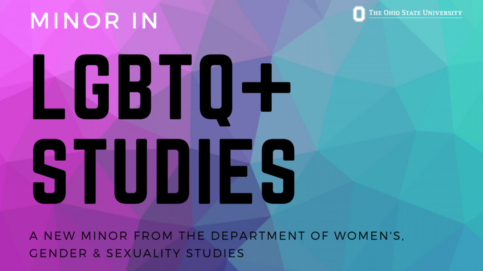 LGBTQ+ Studies Banner