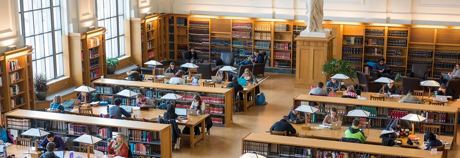 Students studying in library